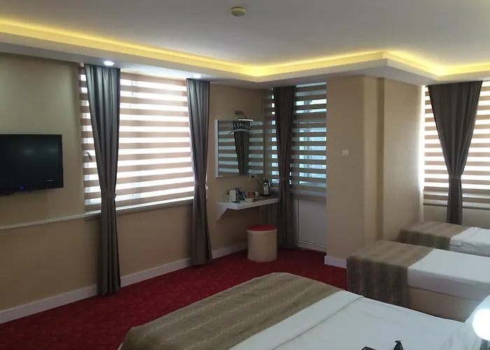 فندق Cavusoglu Oteli 2*