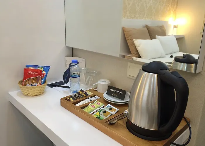 فندق Cavusoglu Oteli 2*