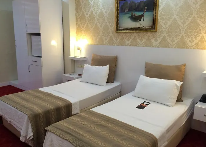 فندق Cavusoglu Oteli 2*