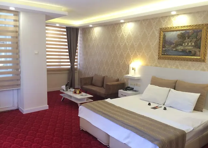 فندق Cavusoglu Oteli 2*